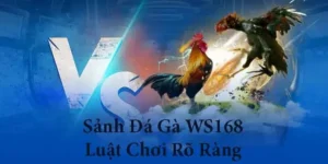 Cách Chơi Đá Gà WS168 Tại BETVND Hấp Dẫn Kịch Tính Đỉnh Cao