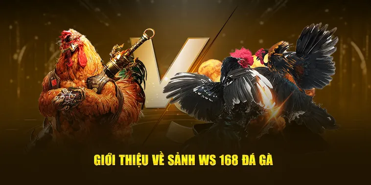 Cách Chơi Đá Gà WS168 Tại BETVND Hấp Dẫn Kịch Tính Đỉnh Cao 2 Cách Chơi Đá Gà WS168 Tại BETVND Hấp Dẫn Kịch Tính Đỉnh Cao