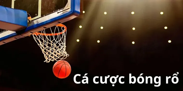 Cá Cược Bóng Rổ BETVND Kịch Tính Đỉnh Cao Mỗi Trận Đấu